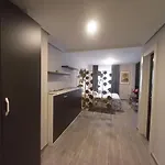 Loft Carrion Lejlighed