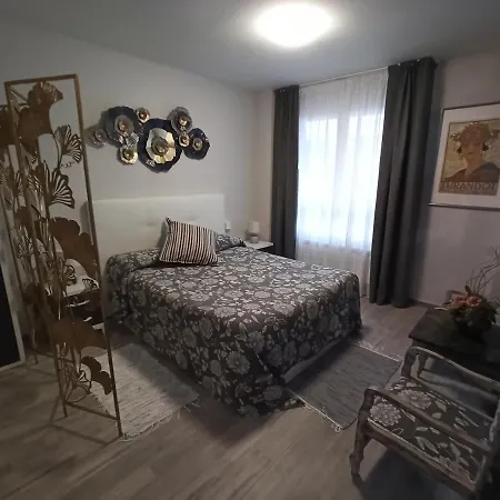 Loft Carrion Apartament *