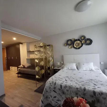 Appartement Loft Carrion *