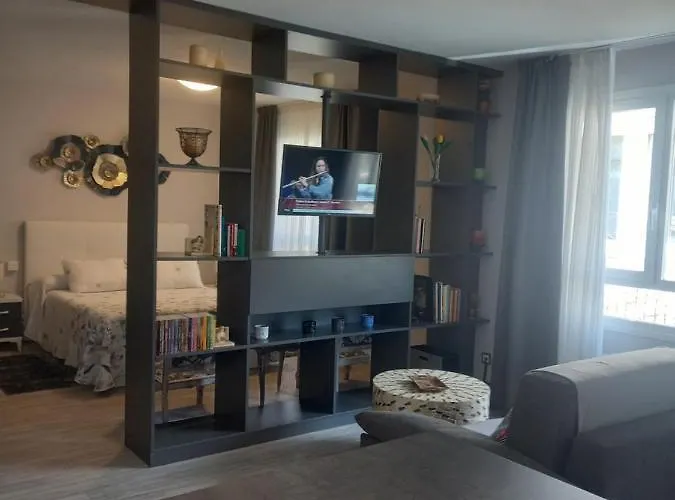 Loft Carrion 아파트